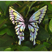 Трафарет пластик Разные бабочки 16х22 см